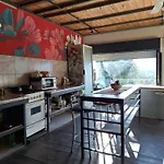 Lapacho Hostel Salta Coliving