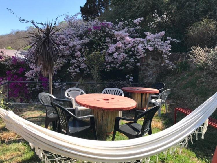 Lapacho Coliving Salta